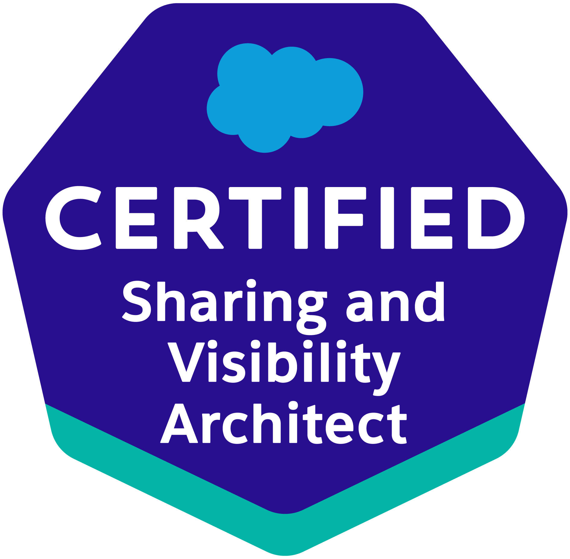 Logo for Salesforce Certified Professional